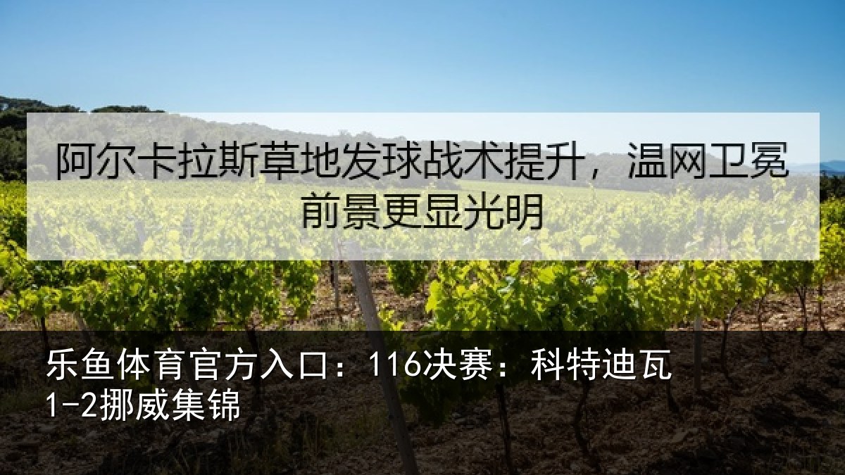 乐鱼体育官方入口:116决赛:科特迪瓦1-2挪威集锦