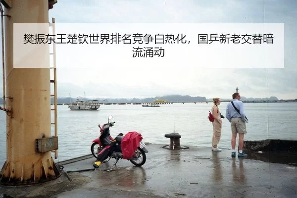 樊振东王楚钦世界排名竞争白热化，国乒新老交替暗流涌动