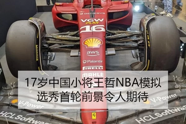 sui-zhong-guo-xiao-jiang-wang-zhe-mo-ni-xuan-xiu-shou-lun-qian-jing-ling-ren-qi-dai-2-327.jpg