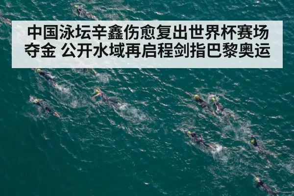 中国泳坛辛鑫伤愈复出世界杯赛场夺金 公开水域再启程剑指巴黎奥运