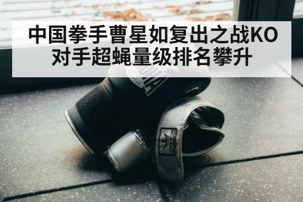 boxing training gloves
