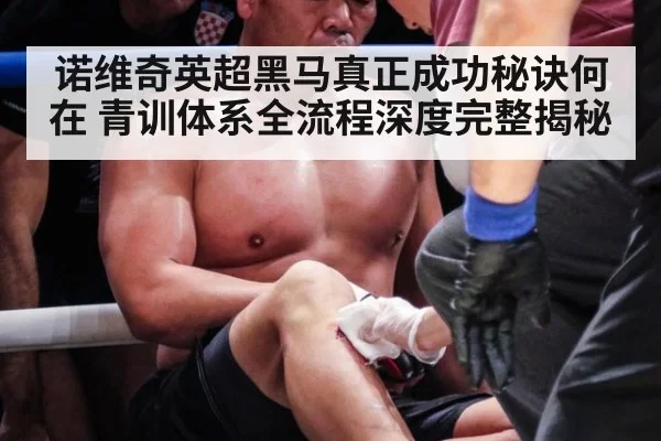 诺维奇英超黑马真正成功秘诀何在 青训体系全流程深度完整揭秘