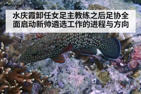 水庆霞卸任女足主教练之后足协全面启动新帅遴选工作的进程与方向